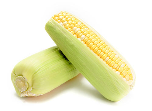 甜玉米让日子“甜”起来 ——丹水源农业科技有限公司助发展侧记